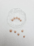 Timeless Chic: French Style Press on Nails Instant Manicure AU