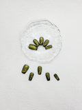 Cosmic Rainforest: Green Magnetic Press on Nails Instant Manicure AU
